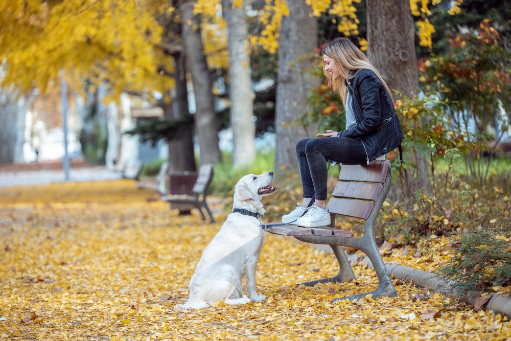Attention Deficit Hyperactively Disorder Therapy (ADHD) Winnipeg - How ADHD Therapy Helps Improve Daily Life - West End Therapy Winnipeg