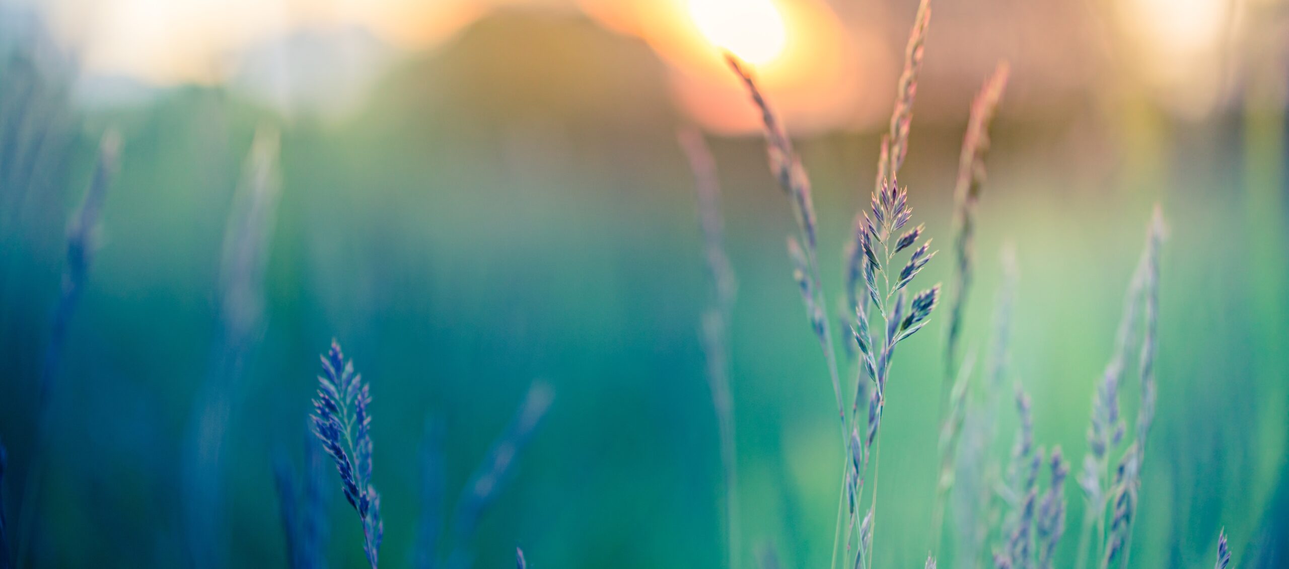 Counselling and therapy in Winnipeg - West End Therapy