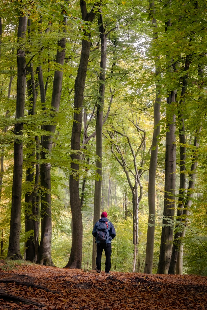 EMDR Therapy in Winnipeg - What is EMDR Therapy - West End Therapy Winnipeg